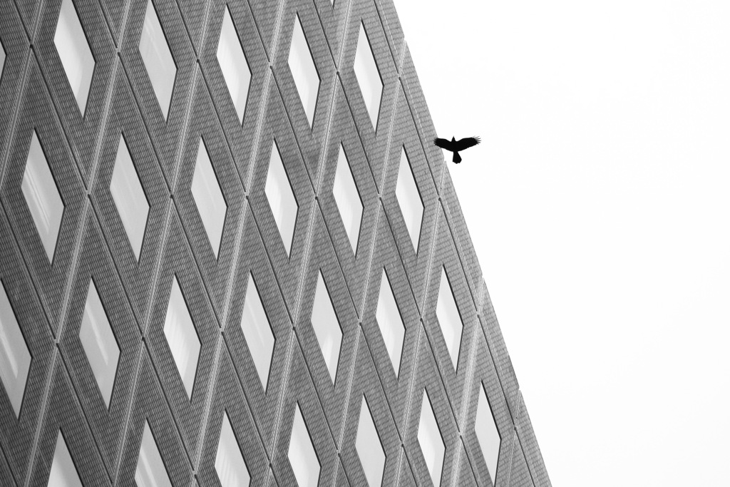 SHINJUKU
