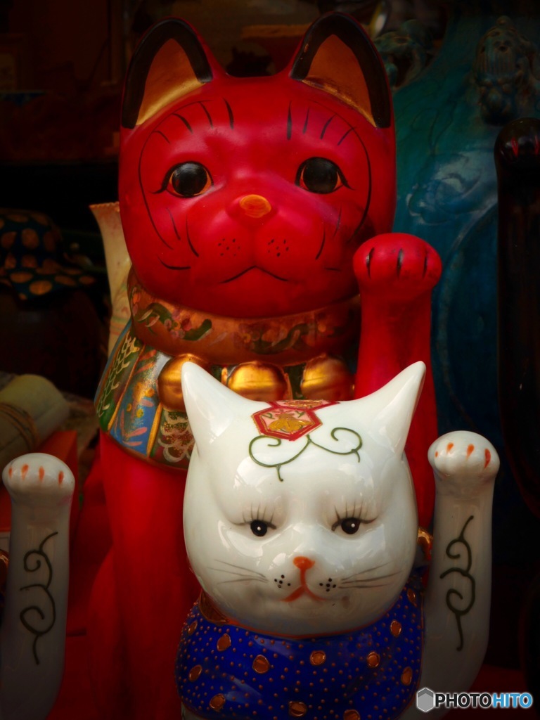 猫日和