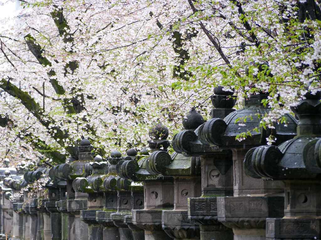 上野公園にて