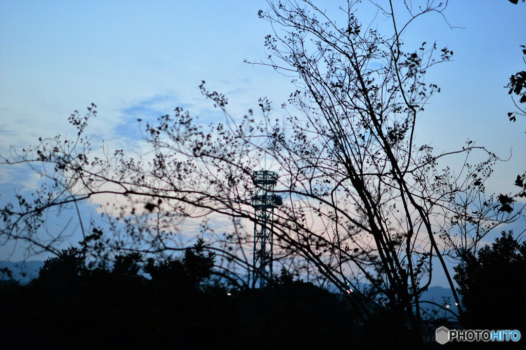夕暮れ