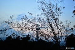 夕暮れ