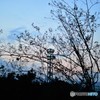 夕暮れ