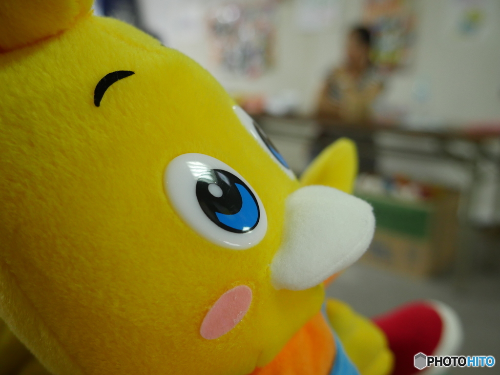 ピッキーというぬいぐるみ