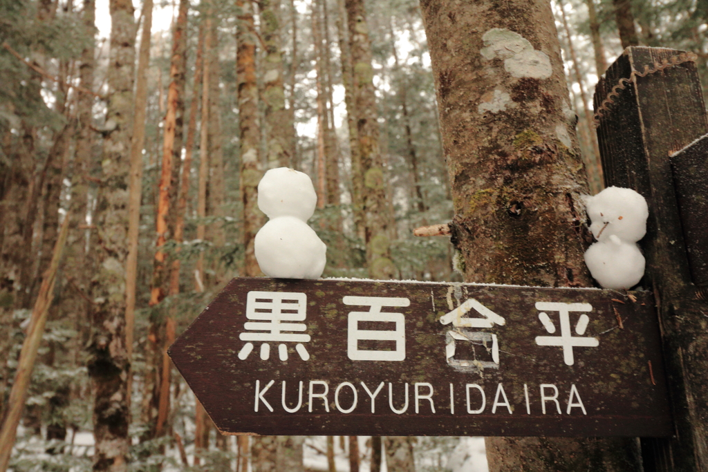 天狗岳　山の番人？