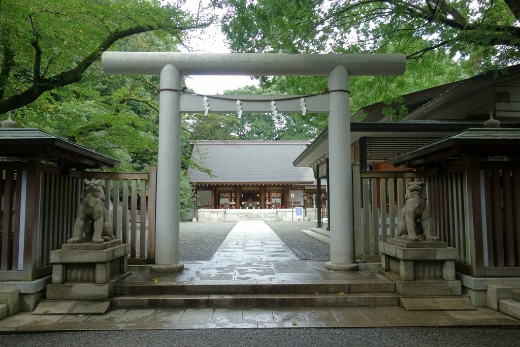 乃木神社-3