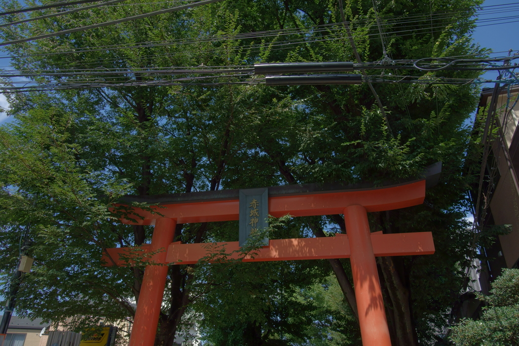 赤城神社-20
