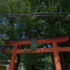 赤城神社-20