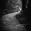 静寂と路