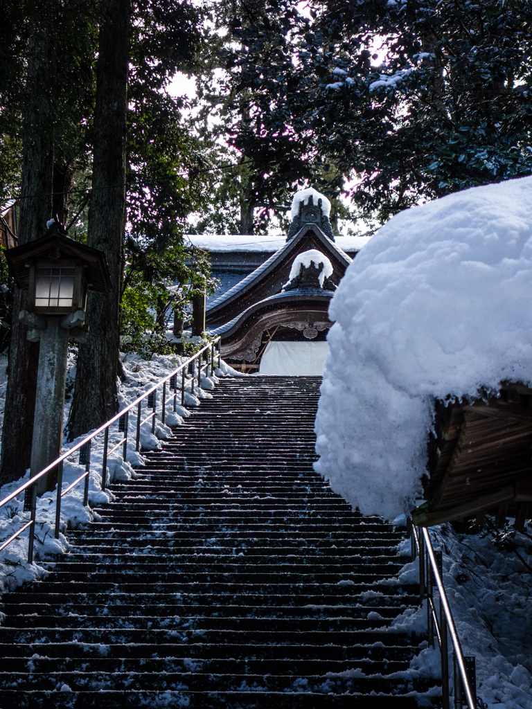 青海神社 2026.01 ②