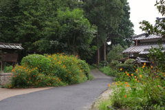 明日香村　大字檜前（ 檜隈寺跡 ）