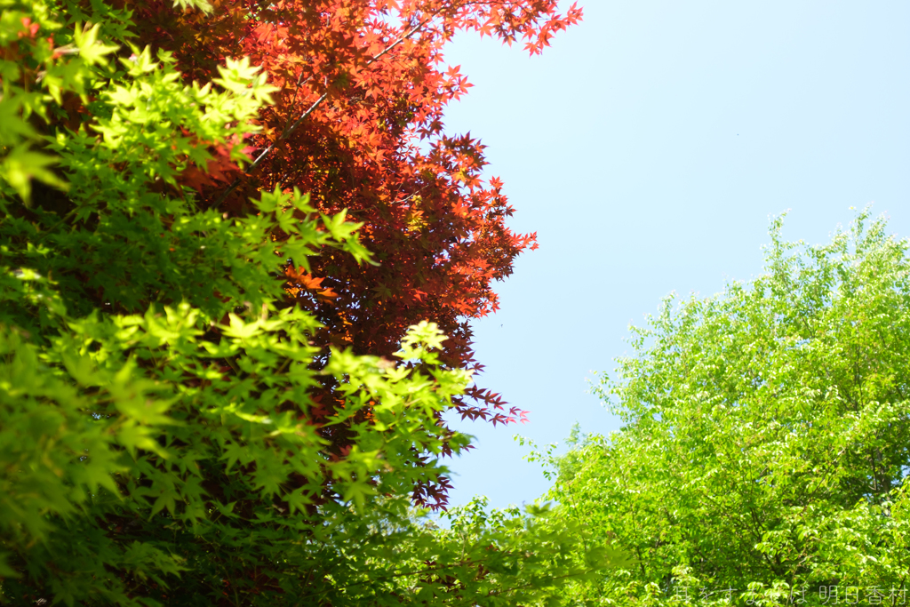 明日香村　大字豊浦