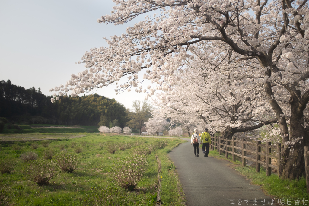 明日香村　大字川原