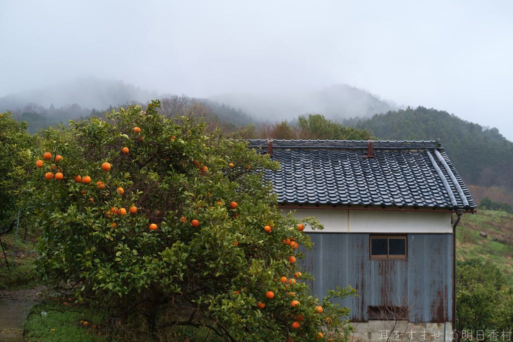 明日香村　大字平田