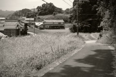 明日香村 真弓