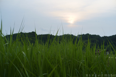 明日香村　大字岡