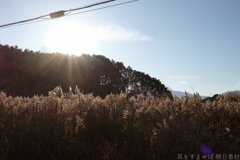 明日香村　大字栗原