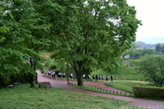 明日香村　大字平田（ 国営飛鳥歴史公園　高松塚周辺地区 ）