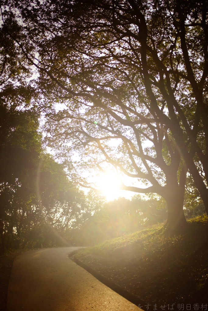 明日香村　大字豊浦