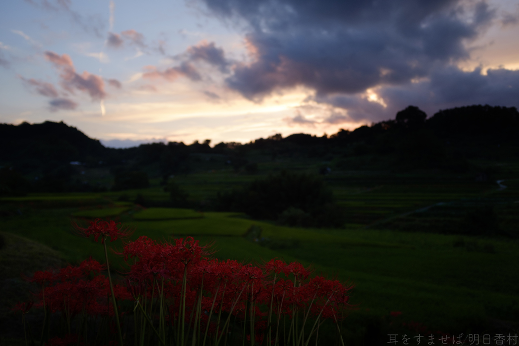 明日香村　大字稲渕