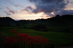 明日香村 大字稲渕 明日香村 大字稲渕