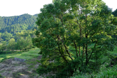 明日香村　大字稲渕