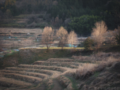 明日香村　大字稲渕