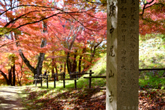 明日香村　大字平田　中尾山古墳