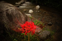 明日香村　大字稲淵