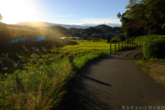 明日香村 大字平田 ( 国営飛鳥歴史公園高松塚周辺地区 ) 明日香村 大字平田 ( 国営飛鳥歴史公園高松塚周辺地区 )