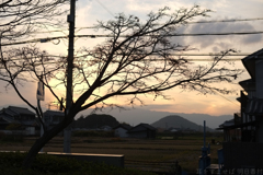 橿原市木之本町