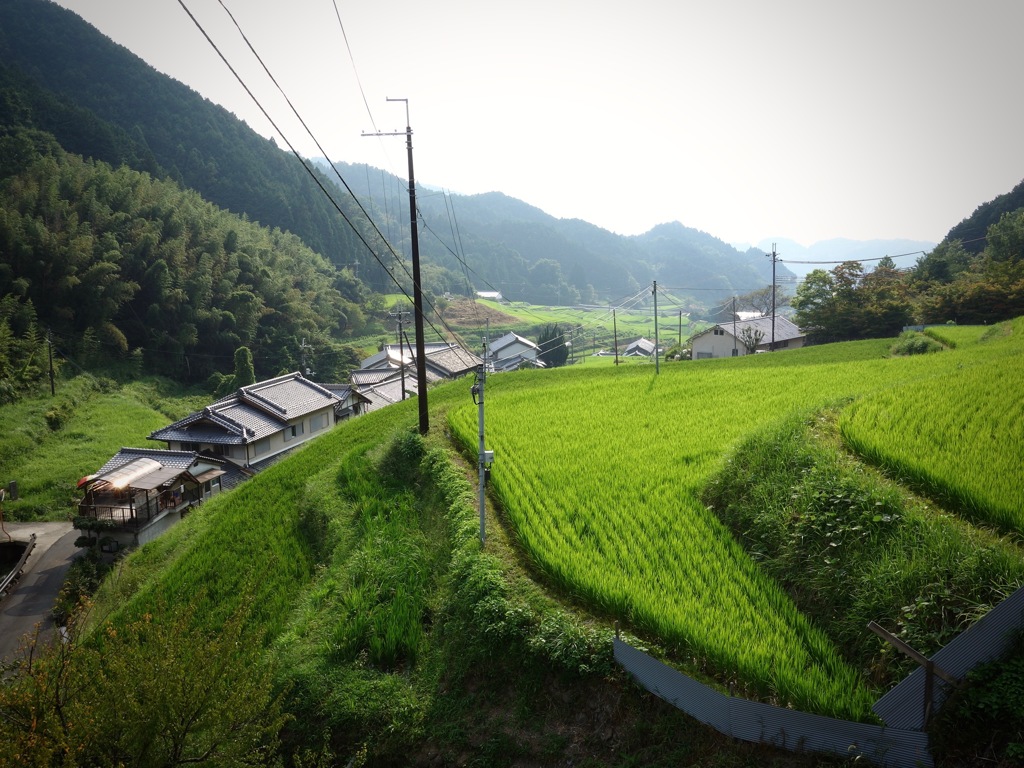 明日香村 尾曽（ おおそ ）
