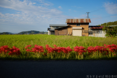 明日香村　大字岡