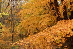 奈良県北葛城郡河合町、広陵町　馬見丘陵公園