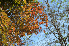 明日香村　大字小原