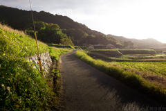 明日香村　大字阪田