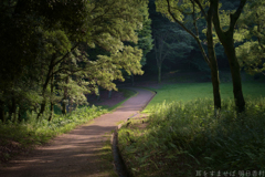 明日香村　大字豊浦（ 国営飛鳥歴史公園　甘樫丘地区 ）