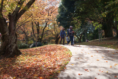 奈良県生駒郡斑鳩町 竜田川沿いの紅葉