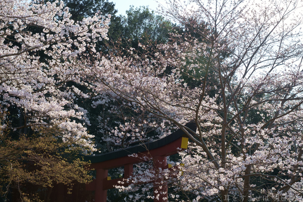 橿原市　畝火山口神社