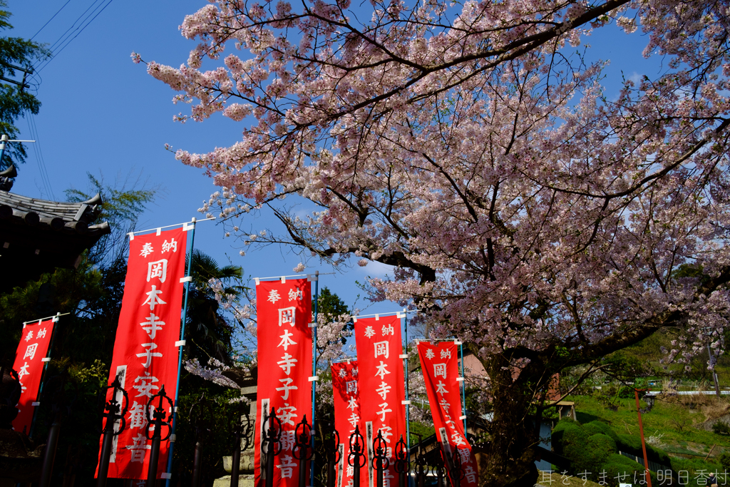 明日香村　大字岡
