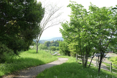 明日香村　大字大根田