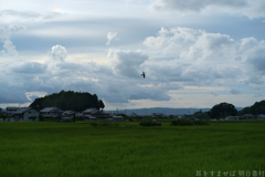 明日香村　大字奥山
