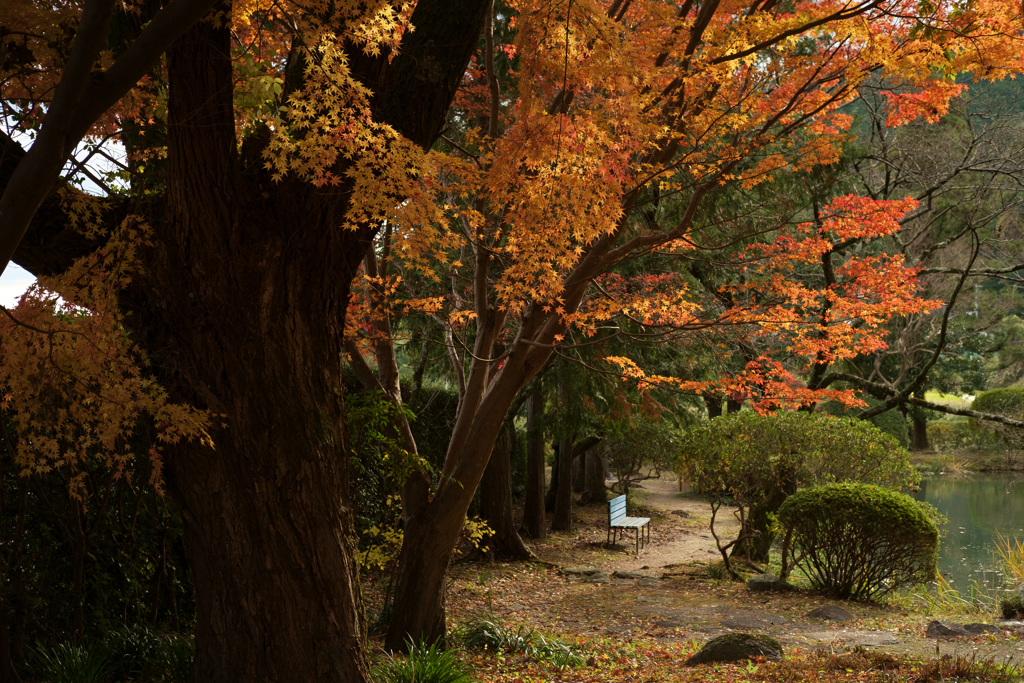 奈良県御所市　九品寺