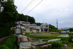 明日香村　大字川原