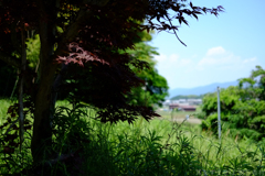 明日香村　大字川原