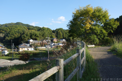 明日香村　大字大根田