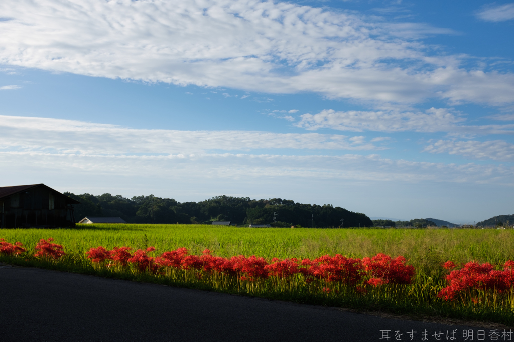 明日香村　大字岡