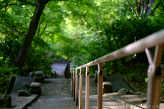 大阪府太子町（ 竹内街道　小野妹子墓 ）