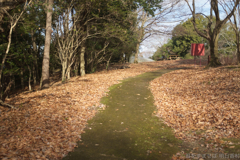 明日香村　大字豊浦（ 甘樫丘 ）