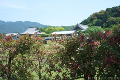 明日香村　大字橘