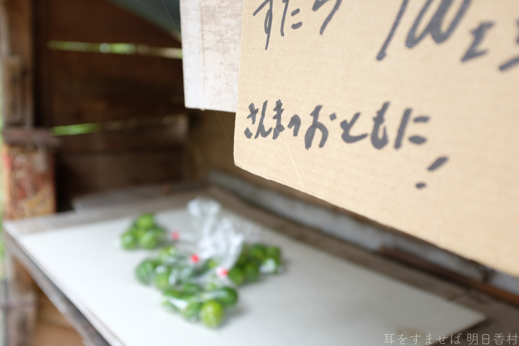 国営飛鳥歴史公園　高松塚周辺地区